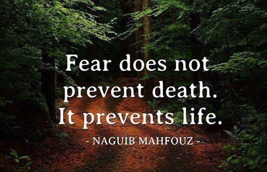 fear-does-not-prevent-death-it-prevents-life