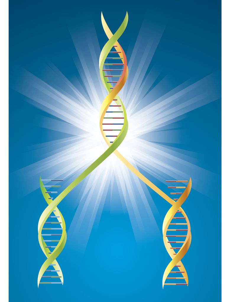 1C1D8220-B193-490A-8366-049FC05A4ED1